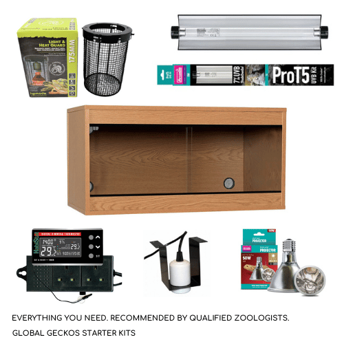 Snake Customisable Starter Kit GSKSnake GlobalGeckos.co.uk